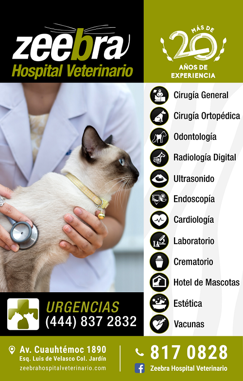 Servicios-Zeebra-Hospital-Veterinario-compressor