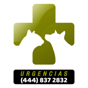 EMERGENCIAS VETERINARIAS SAN LUIS POTOSI