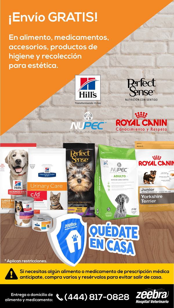 alimento para perro a domicilio en san luis potosi